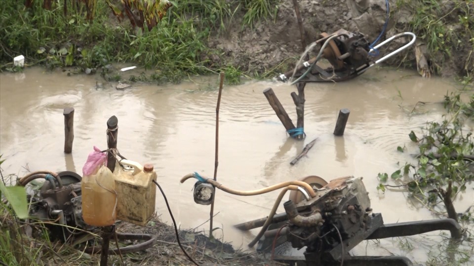 Nông dân Bạc Liêu tích cực bơm tát nước để giảm thiệt hại ruộng lúa hè thu