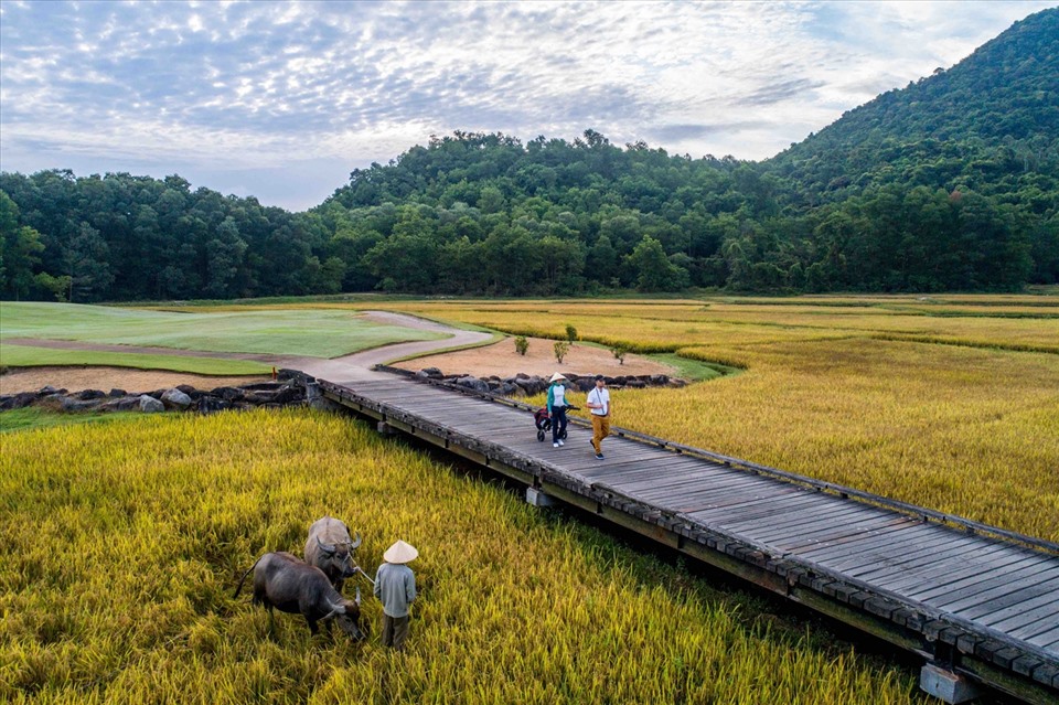 Tiện ích của khu nghỉ phải kể đến khu vực spa, câu lạc bộ golf, câu lạc bộ trẻ em, hoạt động giải trí trên biển hay những tour khám phá thiên nhiên, sông nước xứ Huế. Giá phòng nghỉ từ 3.200.000 đồng một đêm.