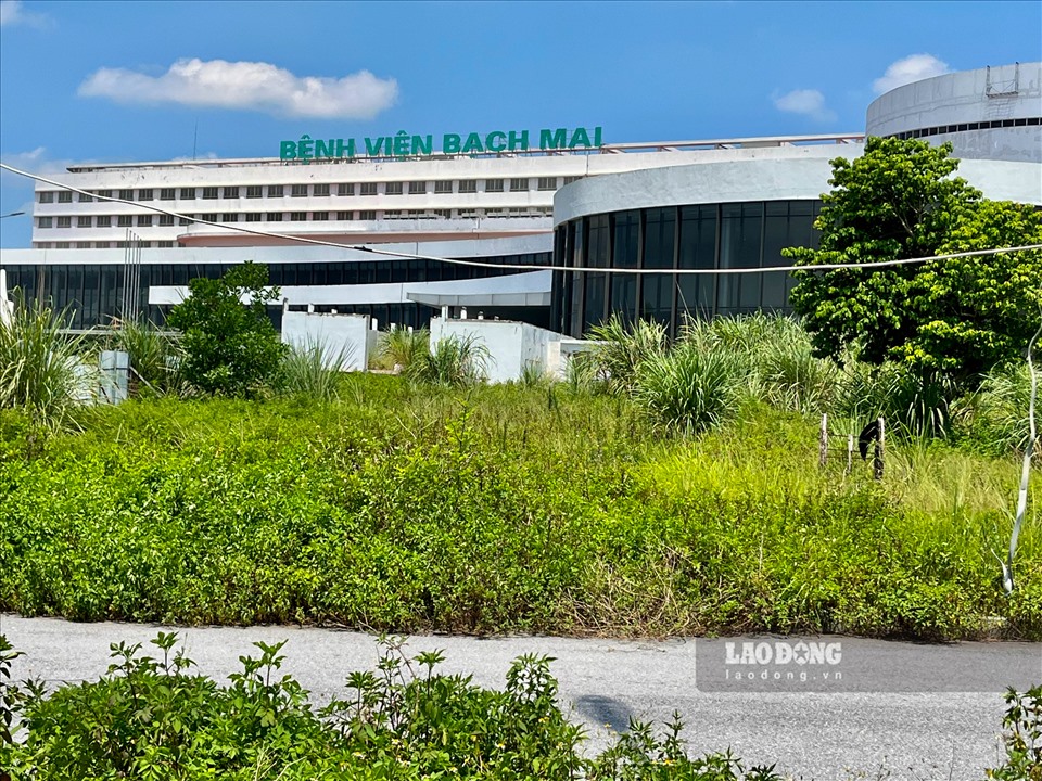 Bệnh viện Bạch Mai bỏ hoang, cỏ mọc um tùm.