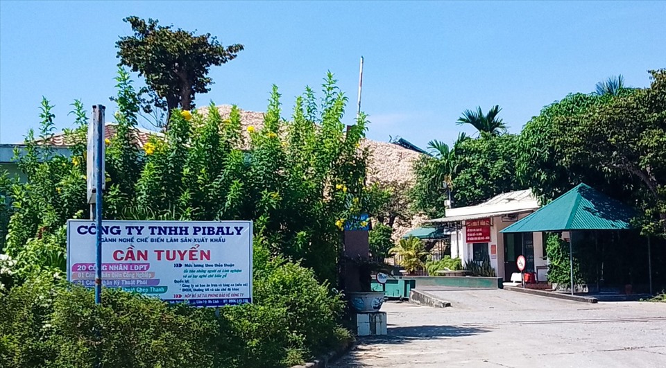 Công ty Pibaly bị Cục Thuế tỉnh Quảng Ngãi truy thu và phạt hành chính liên quan đến lĩnh vực thuế.