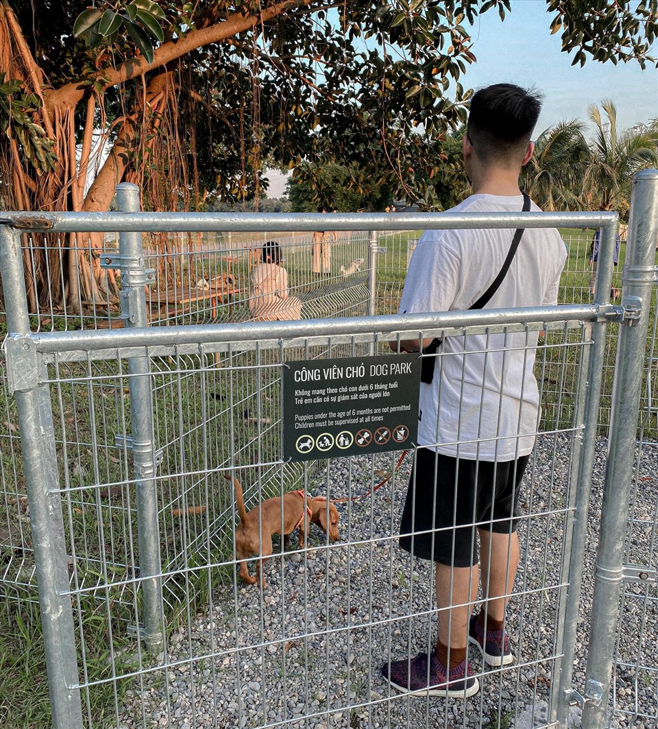 Vì đã có rào chắn riêng nên việc dắt thú cưng vào khu vực dành riêng cho công viên chó không ảnh hưởng gì đến những người nghỉ ngơi, du ngoạn hay tập thể dục ở công viên Yên Sở.