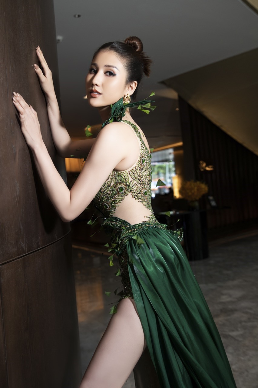 Chia sẻ về vai trò lần này tại Hoa hậu Biển Đảo Việt Nam, Bảo Như cho biết mình vốn sinh ra ở một tỉnh nổi tiếng về du lịch Biển ở phía Nam, lại từng giành được vị trí Á hậu 1 Hoa hậu Biển Việt Nam 2016.