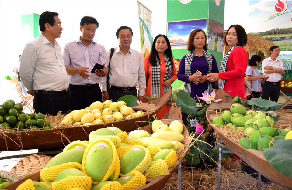 Với chủ đề: Xoài nào ngon bằng xoài Cao Lãnh, Lễ hội Xoài tỉnh Đồng Tháp lần thứ 1 sẽ diễn ra từ 6-8.7.2022 tại TP. Cao  Lãnh. Ảnh: LT