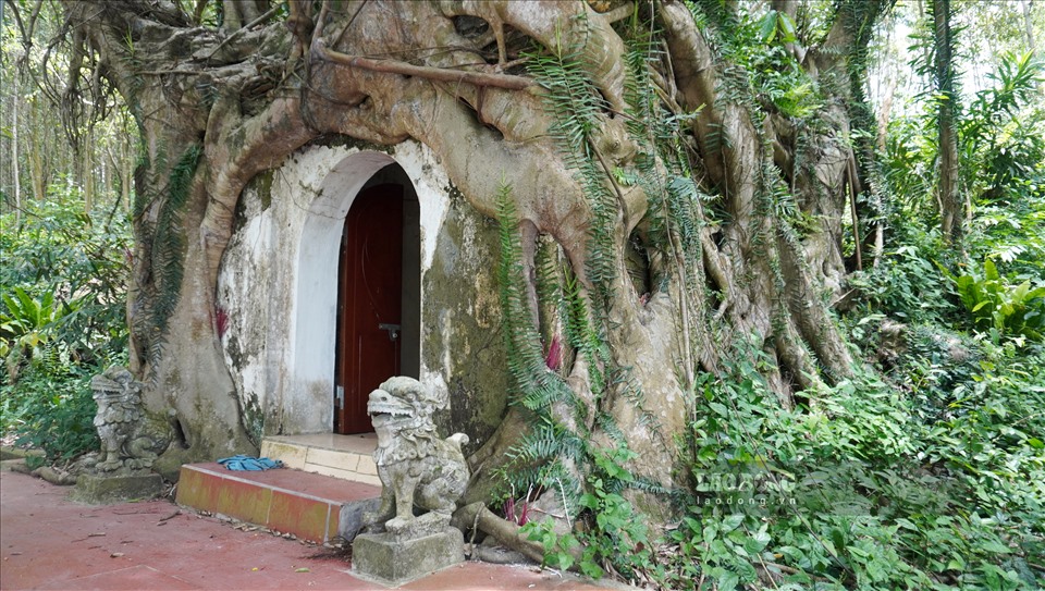 Ngôi đền với nét cổ kinh, kỳ lạ hi cây sanh có đường kính rộng hàng chục mét ôm trọn