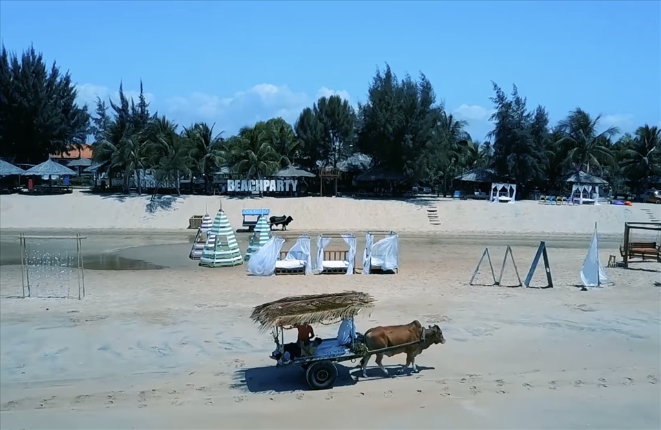 Du khách đi xe bò ngắm cảnh trên biển Cam Bình. Ảnh: AH