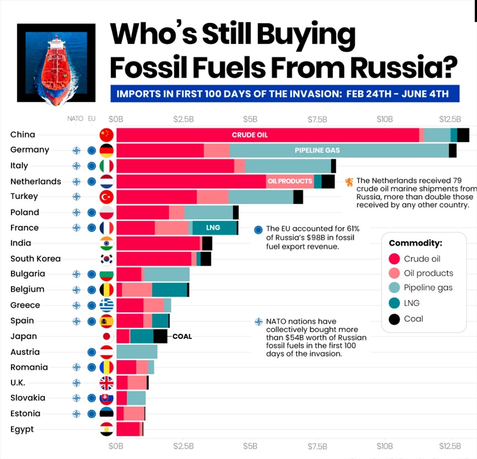 Các nước mua nhiên liệu hoá thạch của Nga. Ảnh: