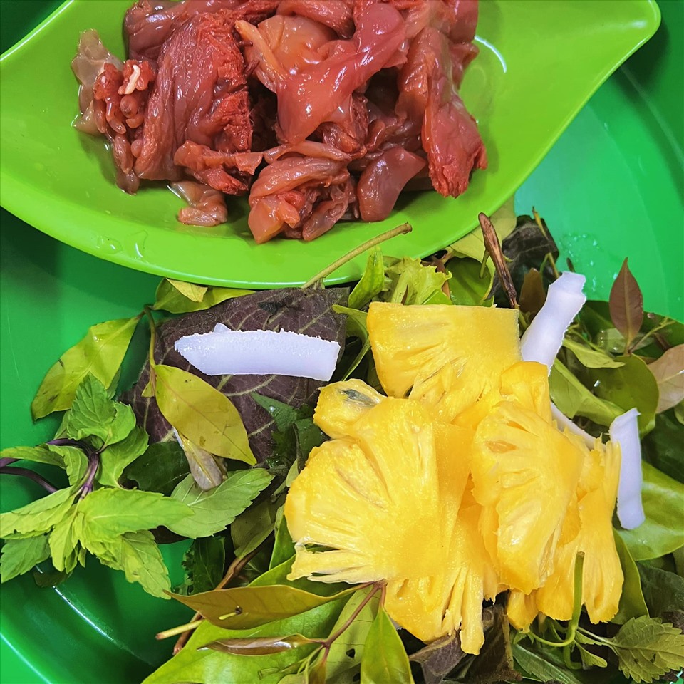 Sứa đỏ.