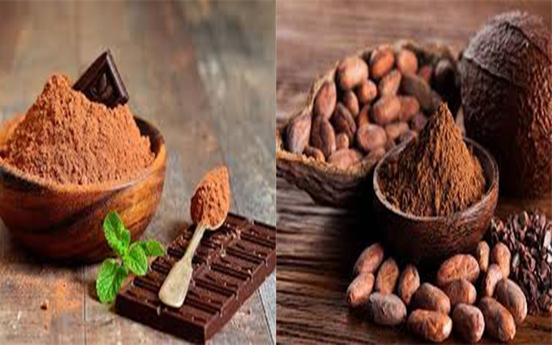 Cacao: Cacao là một trong những nguyên liệu được sử dụng để tạo ra sôcôla. Chúng rất có lợi cho việc đẩy nhanh quá trình trao đổi chất của cơ thể. Bên cạnh đó, nó còn giúp giảm cân bằng cách hạn chế hấp thụ chất béo vào cơ thể và đốt cháy chúng dưới dạng năng lượng.