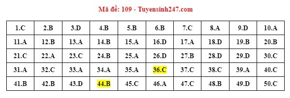 Gợi ý đáp án đề thi môn Toán thi THPT 2022. Đáp án do giáo viên Tuyensinh247 thực hiện.