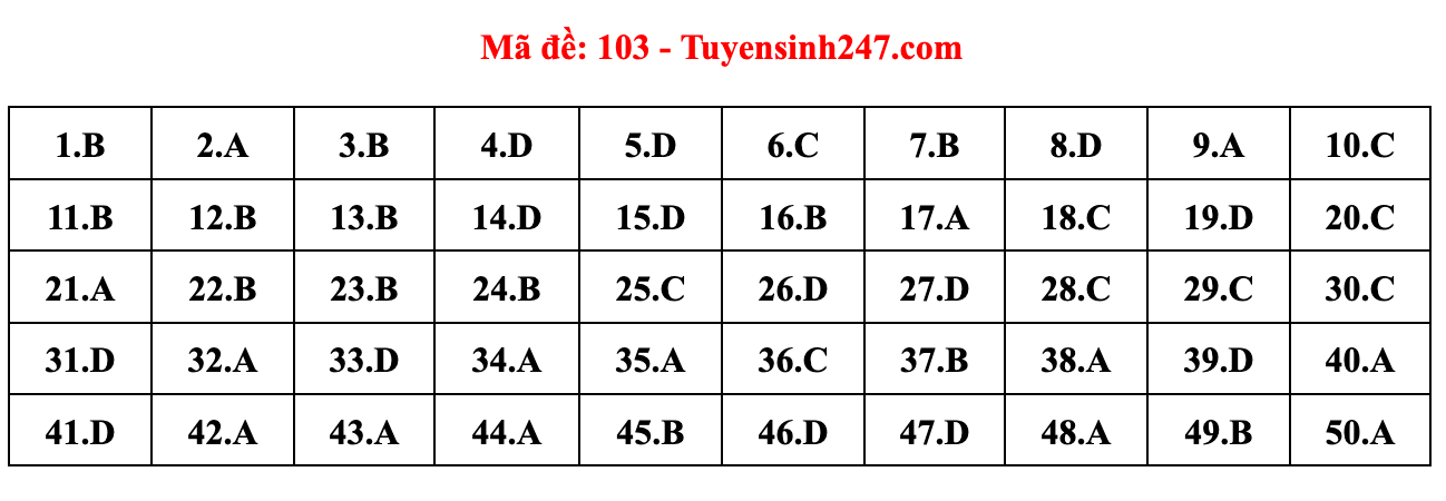 Gợi ý đáp án đề thi môn Toán thi THPT 2022. Đáp án do giáo viên Tuyensinh247 thực hiện.