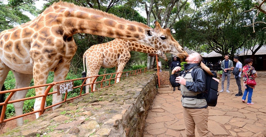Ngày nay, khi các loại động thực vật hoang dã đã được bảo tồn, Nairobi trở thành điểm đến lý tưởng để ngắm cảnh, thăm thú nhiều loài động, thực vật quý hiếm. - Ảnh: Shoortravel