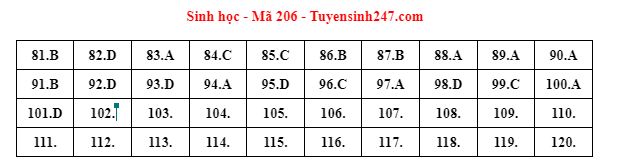 Gợi ý đáp án đề thi môn Sinh học thi THPT 2022. Đáp án do giáo viên Tuyensinh247 thực hiện.
