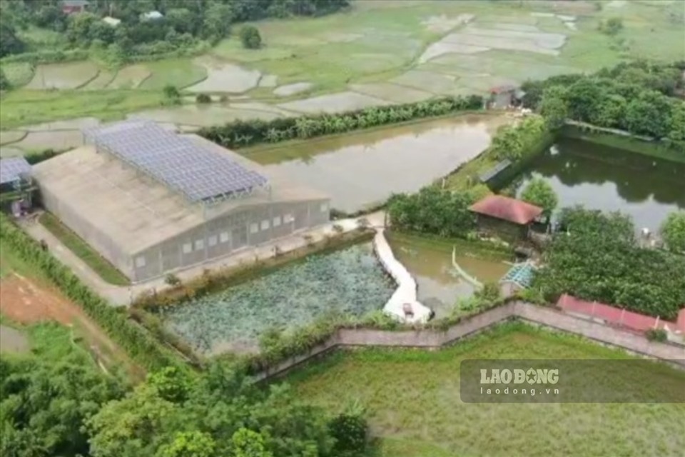 Vị trí thứ hai được cho là thuộc Trang viên Đồng Gội, nằm trên diện tích đất trồng lúa này đã được xây dựng từ khoảng năm 2008.