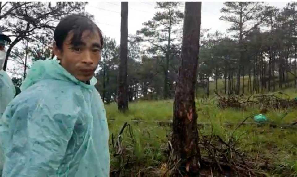 Dương Kim Hà  tại hiện trường vụ phá rừng. Ảnh: C.A.