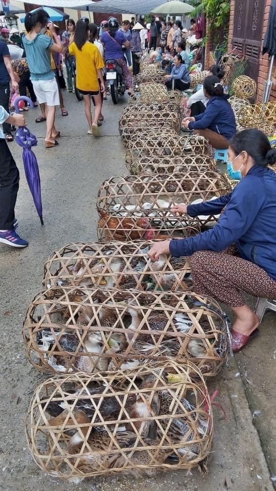 Hàng triệu con vịt đã được tiêu thụ trong những ngày này.