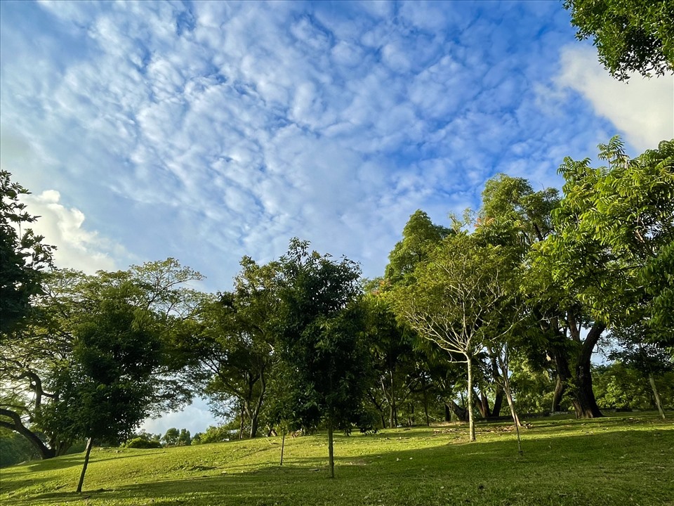 Singapore nổi tiếng sạch đẹp với một nửa diện tích được bao phủ bởi thiên nhiên và cây xanh.