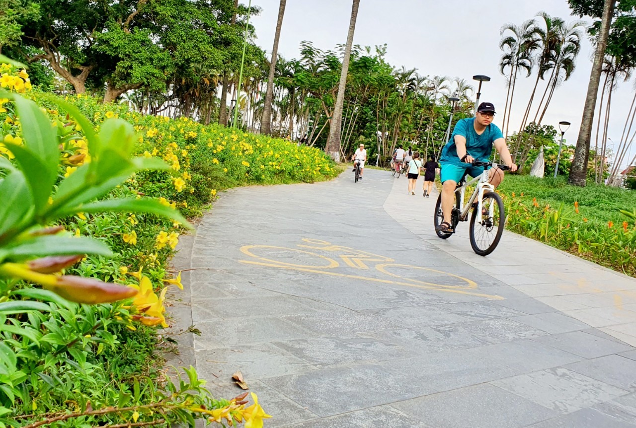 Những cung đường đầy cây xanh, hoa cỏ.