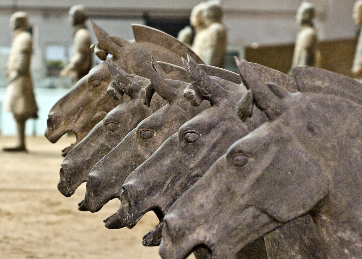 Không phải tất cả những con ngựa trong lăng mộ Tần Thuỷ Hoàng đều là giả. Ảnh: Art of the Horse