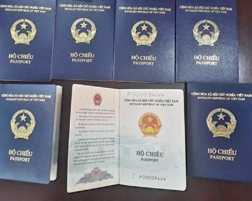 Đức cấp visa vào hộ chiếu phổ thông mẫu mới của Việt Nam. Ảnh chụp màn hình