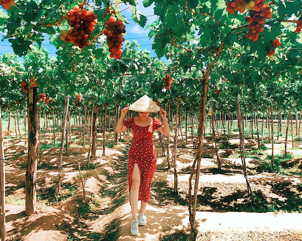 Ảnh: focusasiatravel