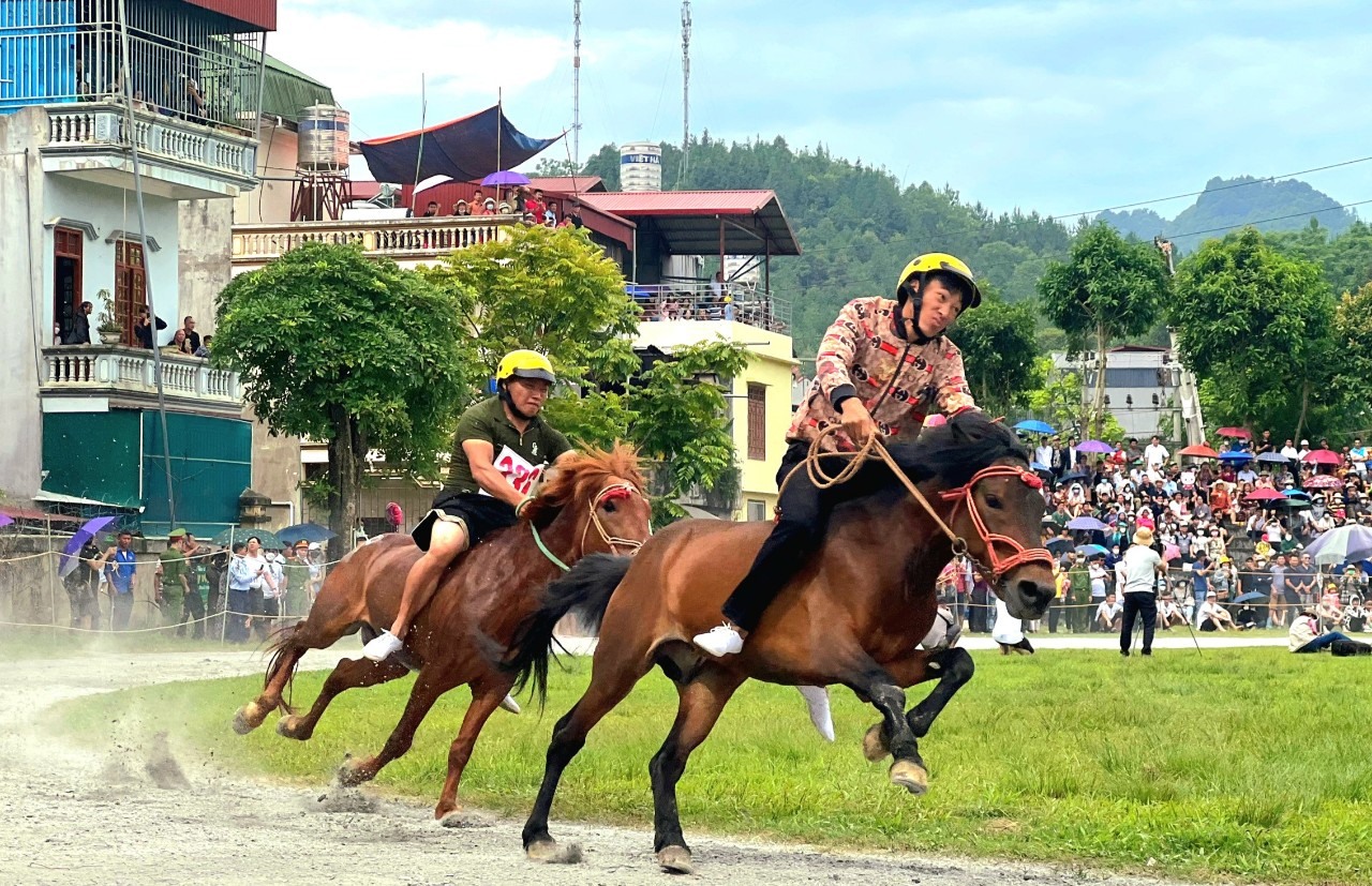 Giải đua ngựa truyền thống lần thứ 15 được tổ chức nằm trong chương trình Festival cao nguyên trắng Bắc Hà 2022 đã diễn ra vào tháng 6.2022 thu hút đông đảo du khách.