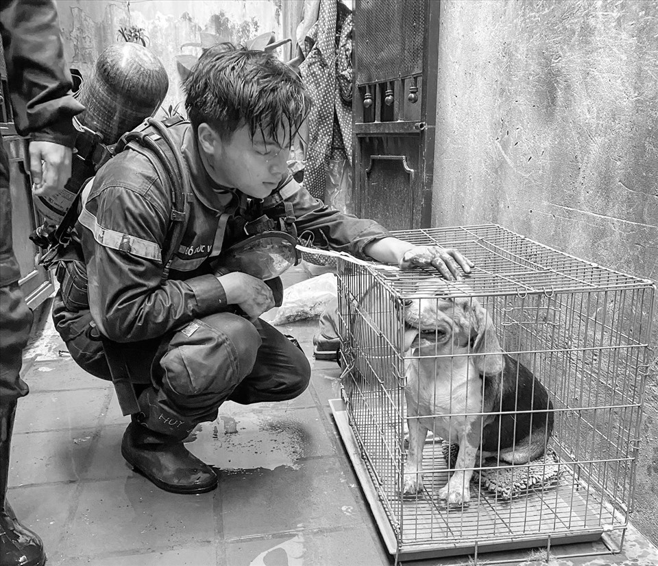 Hình ảnh Việt và chú chó được anh cứu sống khỏi đám cháy.
