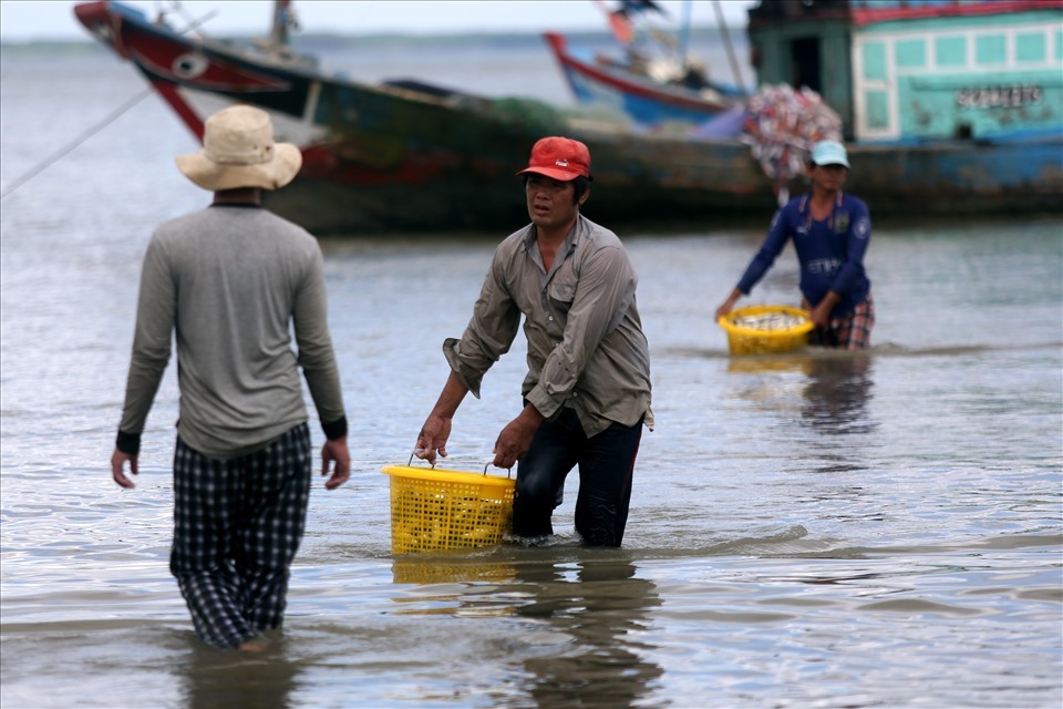Ngư dân tại huyện Cần Giờ ra khơi đánh bắt hải sản. Ảnh: Thanh Vũ