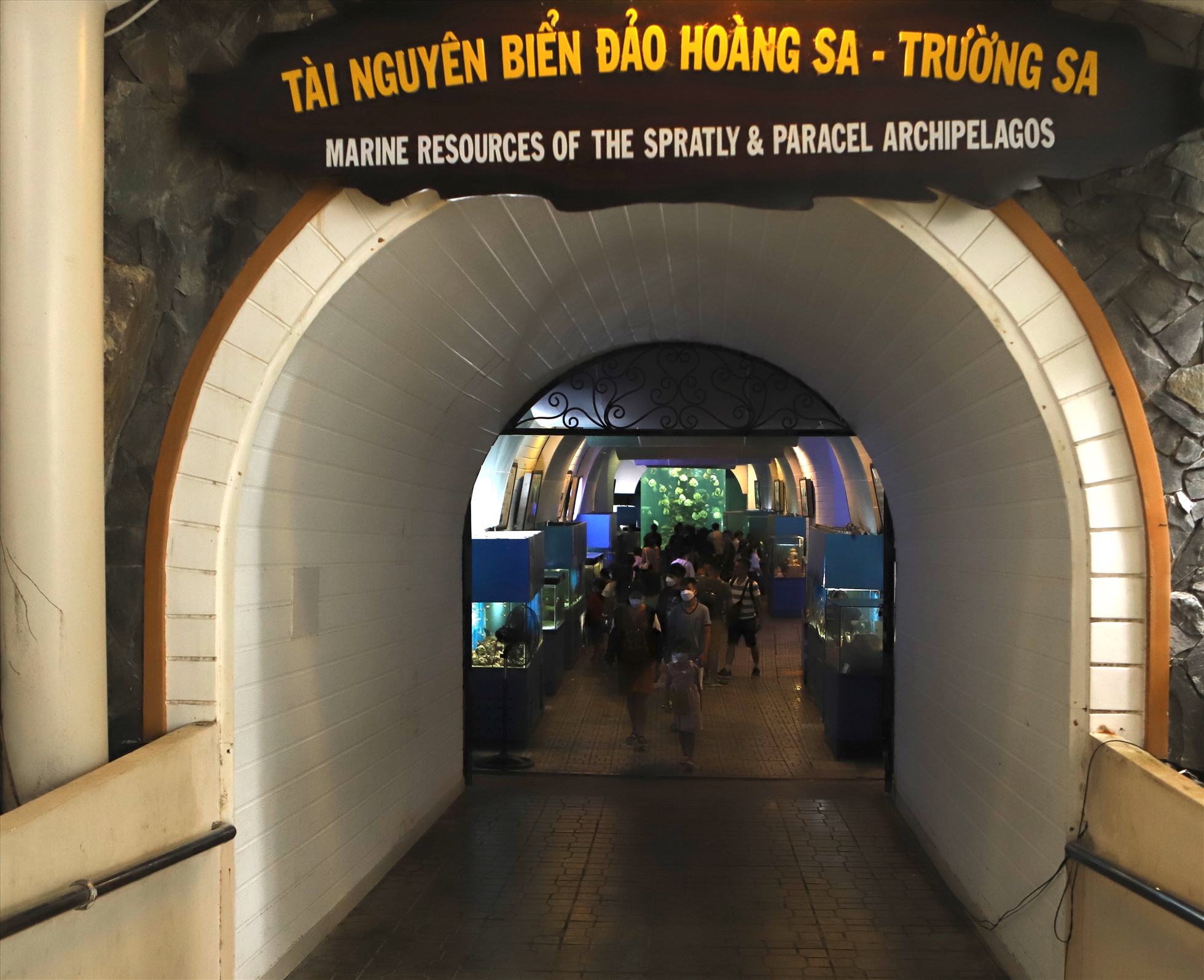 Viện Hải dương học TP Nha Trang cải tạo đường hầm xuyên núi Cảnh Long thành một bể trưng bày tài nguyên, nuôi sinh vật biển thuộc quần đảo Hoàng Sa, Trường Sa.