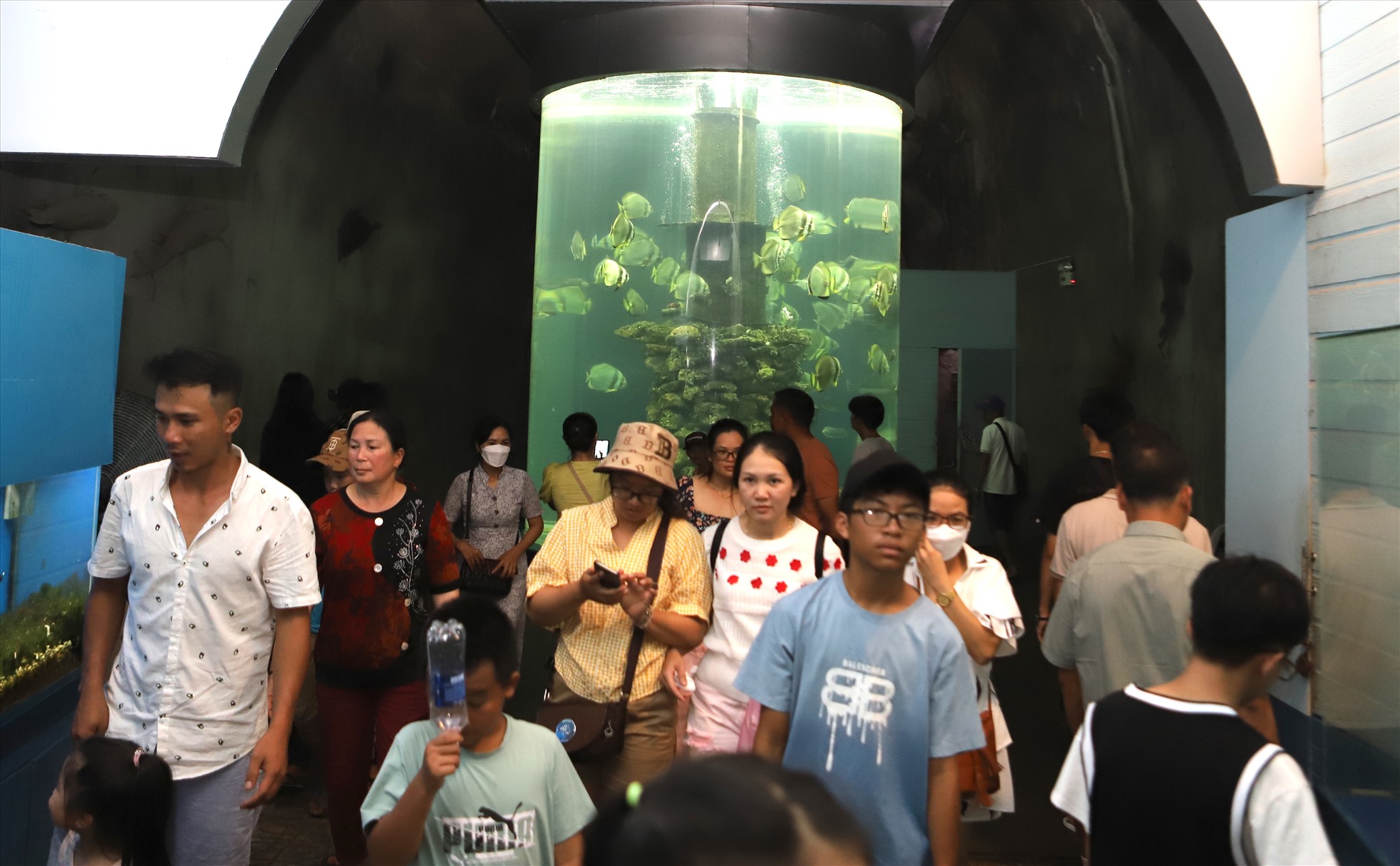 Viện Hải dương học TP Nha Trang cải tạo đường hầm xuyên núi Cảnh Long thành một bể trưng bày tài nguyên, nuôi sinh vật biển thuộc quần đảo Hoàng Sa, Trường Sa.