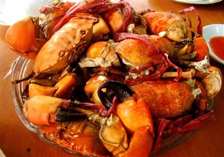 Cù kỳ Móng Cái. Ảnh: yesvietnam