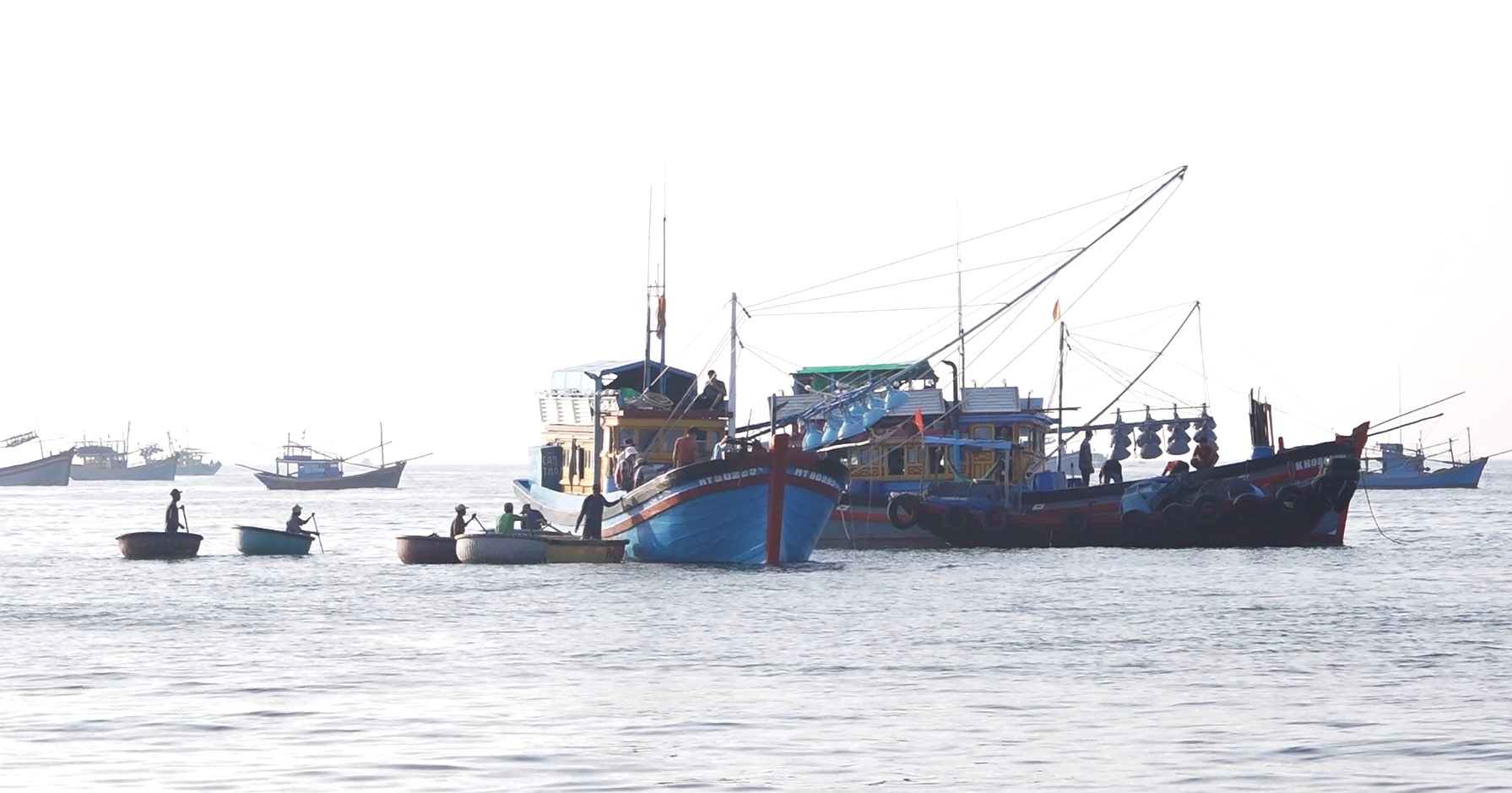 Các tàu thuyền đầy ắp cá cơm neo đậu cách bãi sau Mũi Né khoảng 100m. Ảnh: DT