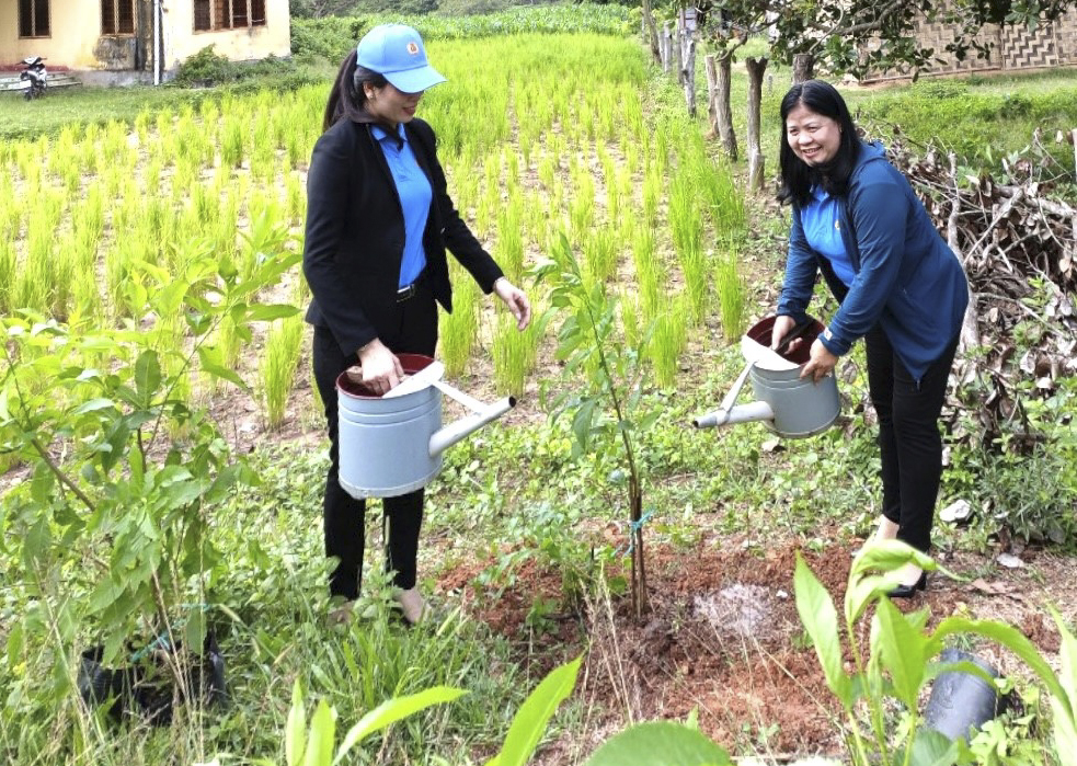 Cán bộ Cơ quan Liên đoàn Lao động tỉnh Bình Thuận tham gia trồng cây. Ảnh: LĐLĐ BT