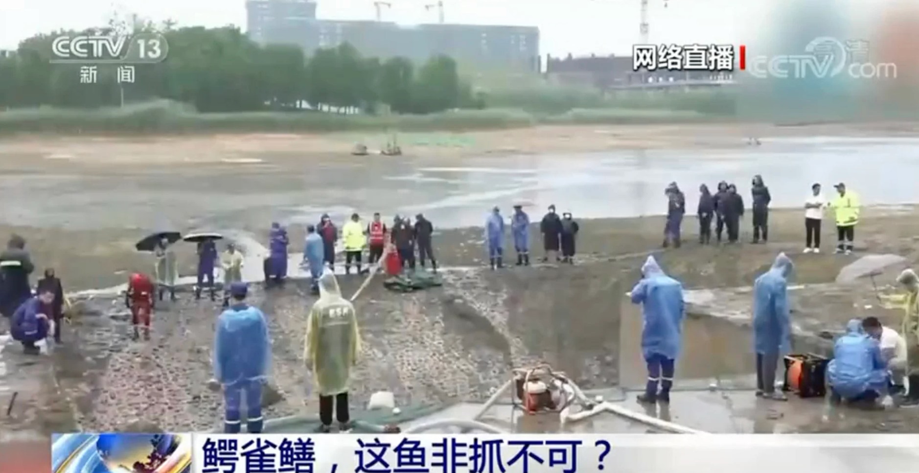 While locals watched the fish catch in the dried-up lake live, millions of others watched a live stream of the event. Photo: CCTV