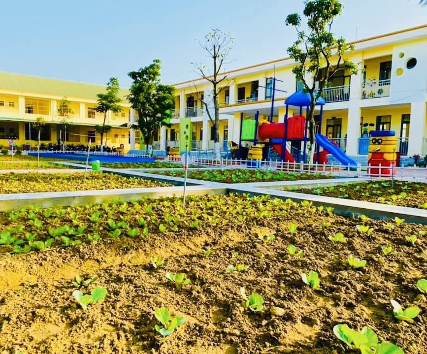 Chưa tựu trường nhưng vườn rau xanh bán trú tại trường mầm non thị trấn Phố Châu đã xanh màu. Ảnh: Sỹ Thông