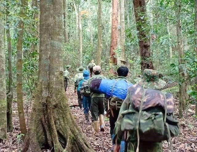 Có kiểm lâm quản lý hơn 10.000 ha rừng tại  khu vực xã Lộc Bắc, Lộc Bảo huyện Bảo Lâm. Ảnh minh họa.