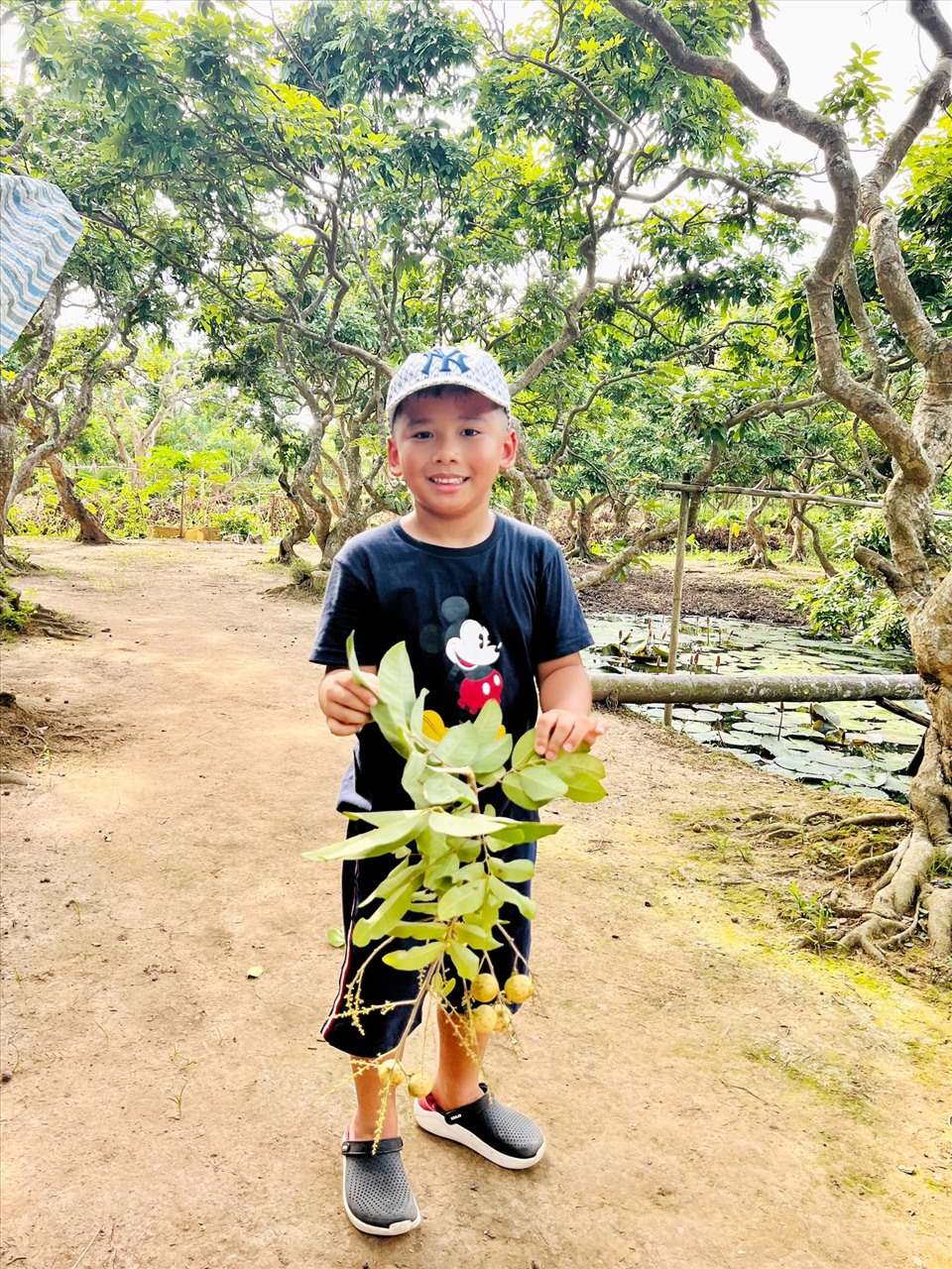 Đến đây, du khách có thể thoải mái tham quan miệt vườn, thử chăm sóc, hái quả trên cây, xem cách người dân địa phương thu hoạch, xử lý các loại nông sản khi vào vụ.