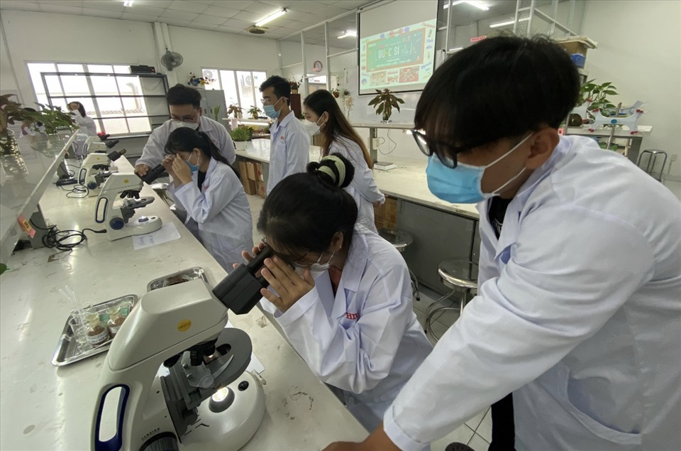 Học sinh được hướng dẫn phân biệt các loại thảo dược thật giả khi soi kính hiển vi
