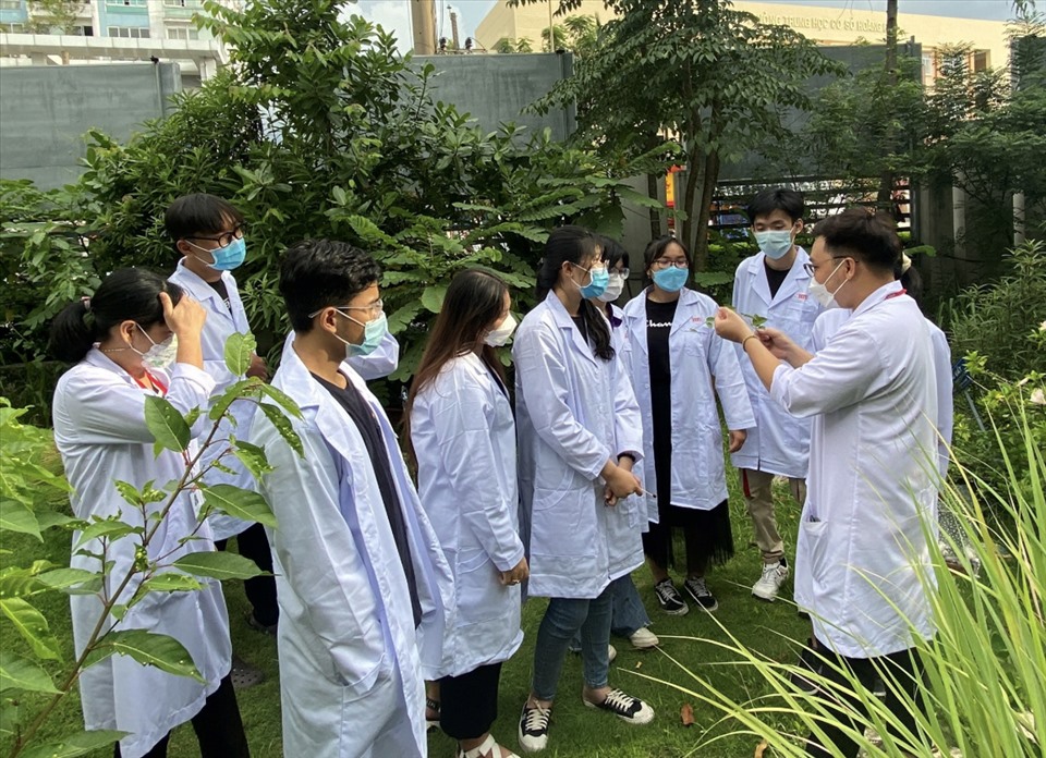 Học sinh được tham quan và học tập ngay tại vườn thực vật của khoa Dược HIU với rất nhiều loại cây cỏ thảo dược, phục vụ cho việc học tập thực hành của sinh viên