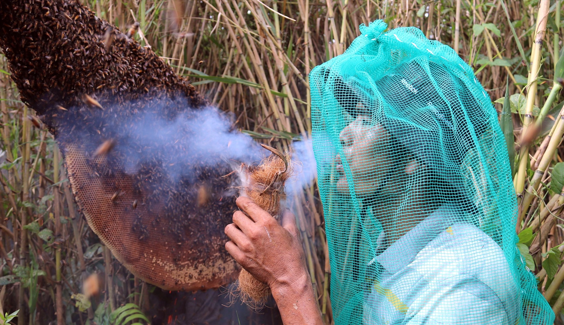 Vào rừng U Minh Hạ theo chân những người ăn ong là trải nghiệm du lịch thích thú đối với nhiều du khách khi đến tỉnh Cà Mau. Ảnh: Nhật Hồ