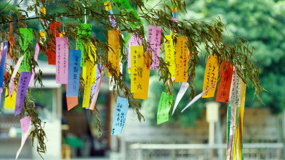 Đường phố, đền chùa ở Nhật Bản ngập tràn sắc màu vào ngày lễ hội Tanabata. Ảnh: ThoughCo.