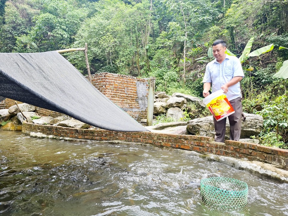 Người dân ở Nậm Cang phát triển kinh tế hiệu quả từ nuôi cá hồi, cá tầm.