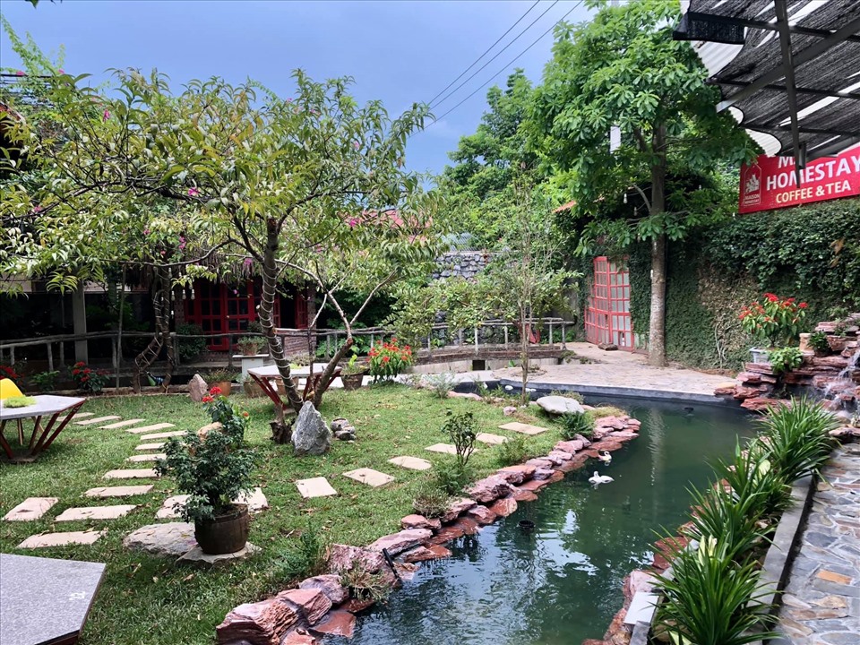 Đặc biệt, Maison Teahouse Bungalow còn có nhà xưởng sản xuất đặc sản trà shan tuyết riêng, cho du khách tự do khám phá, thưởng thức và làm các sản phẩm từ trà.