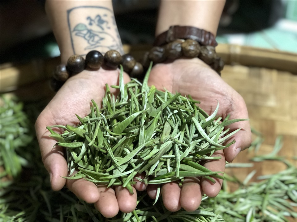 Chất lượng, hương vị của trà Shan tuyết Việt Nam đều vô cùng hảo hạng.