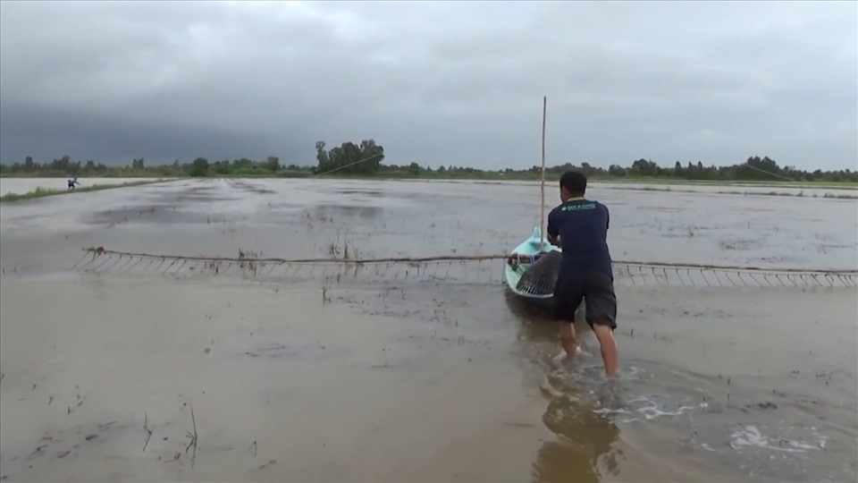 Ông Lê Văn Vinh đẩy côn bắt cá trên cánh đồng gần nhà