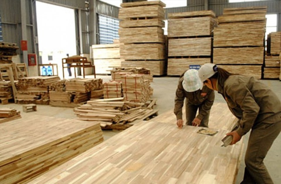 Các doanh nghiệp xuất khẩu của Việt Nam hợp tác với DOC để chứng minh hoạt động sản xuất, xuất khẩu gỗ dán cứng không nhằm lẩn tránh thuế phòng vệ thương mại. Ảnh: V.T