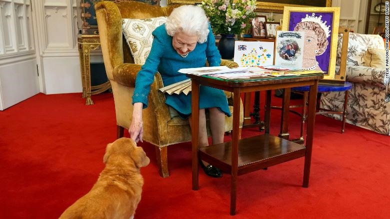 Chó cưng Nữ hoàng Anh: Bạn là fan của Nữ hoàng Anh và muốn biết thêm về chó cưng của bà? Hãy xem hình ảnh để khám phá thế giới của chó cưng đáng yêu này và tìm hiểu cách mà chúng được chăm sóc như một thành viên trong hoàng gia.
