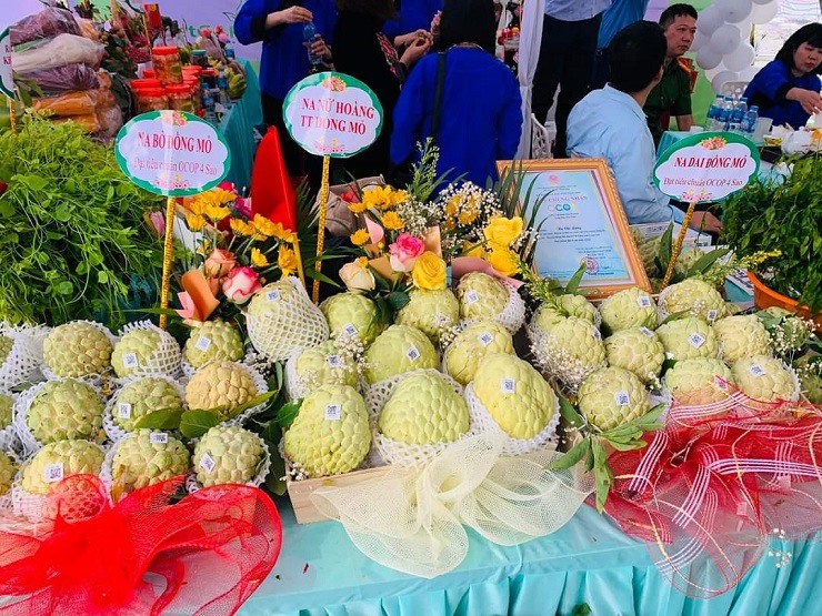Những quả na tham gia hội chợ na tại huyện Chi Lăng.