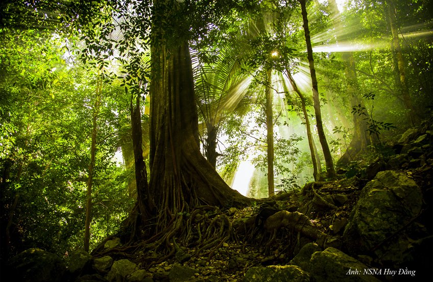 Ảnh: Huy Đằng
