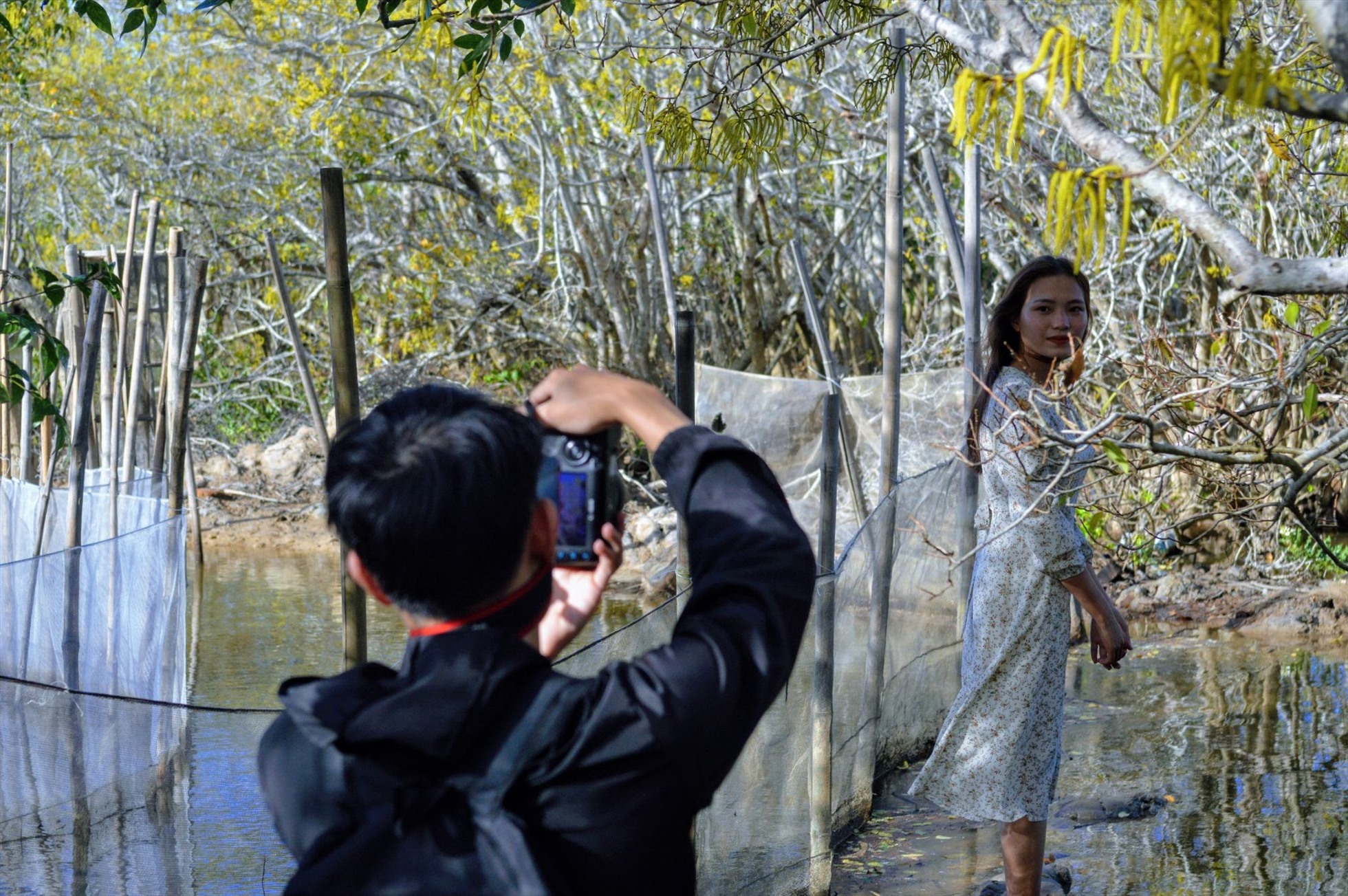 Vẻ đẹp của Rú Chá khi mùa sang thu hút đông đảo du khách đến tham quan, chụp ảnh.