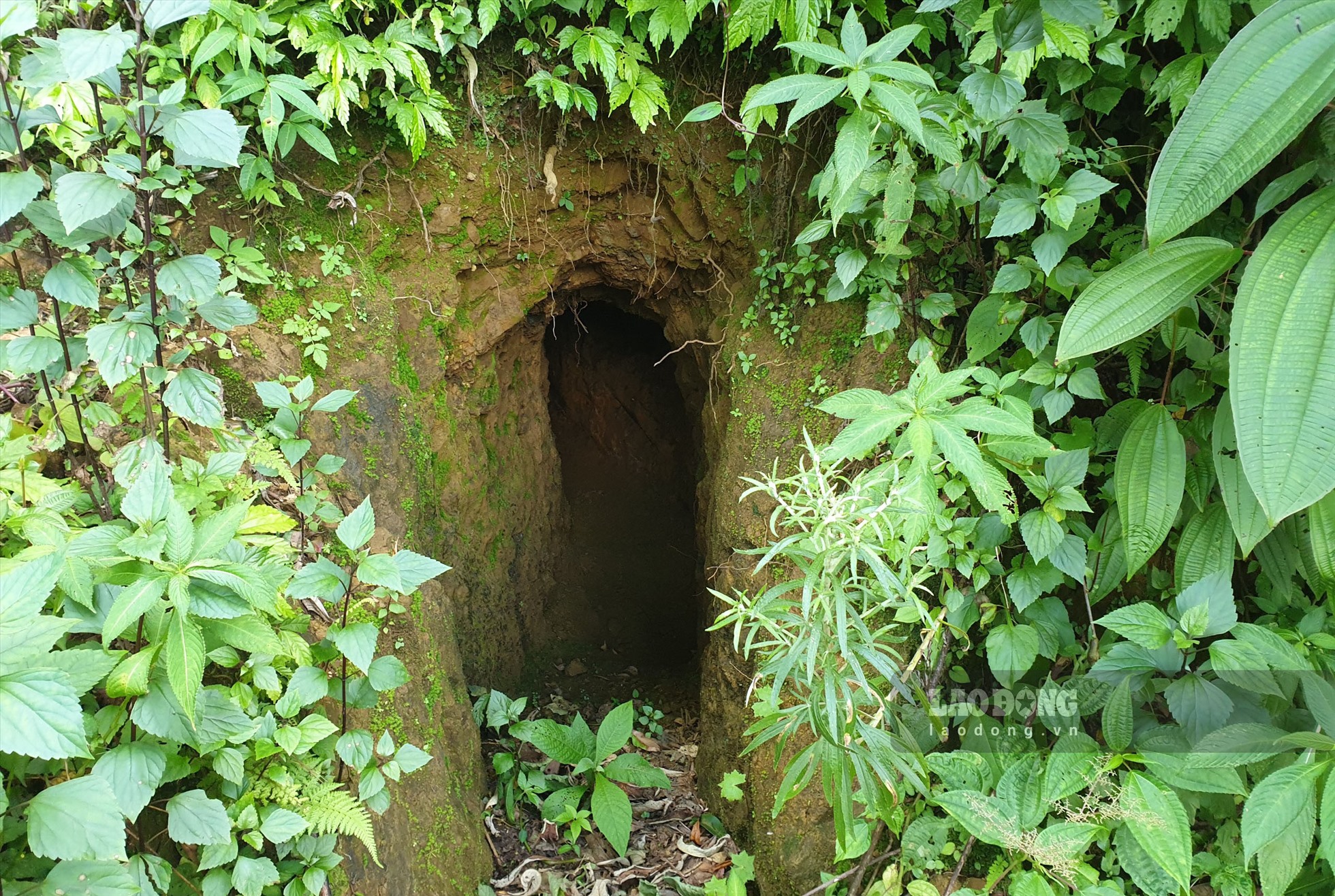 Một hầm vàng bị bỏ hoang khi bên trong đã hết kim loại quý.